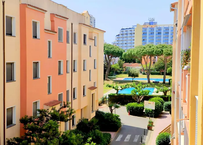 Basic Comfort Gran Reserva 0065 艾姆布里亚布拉瓦